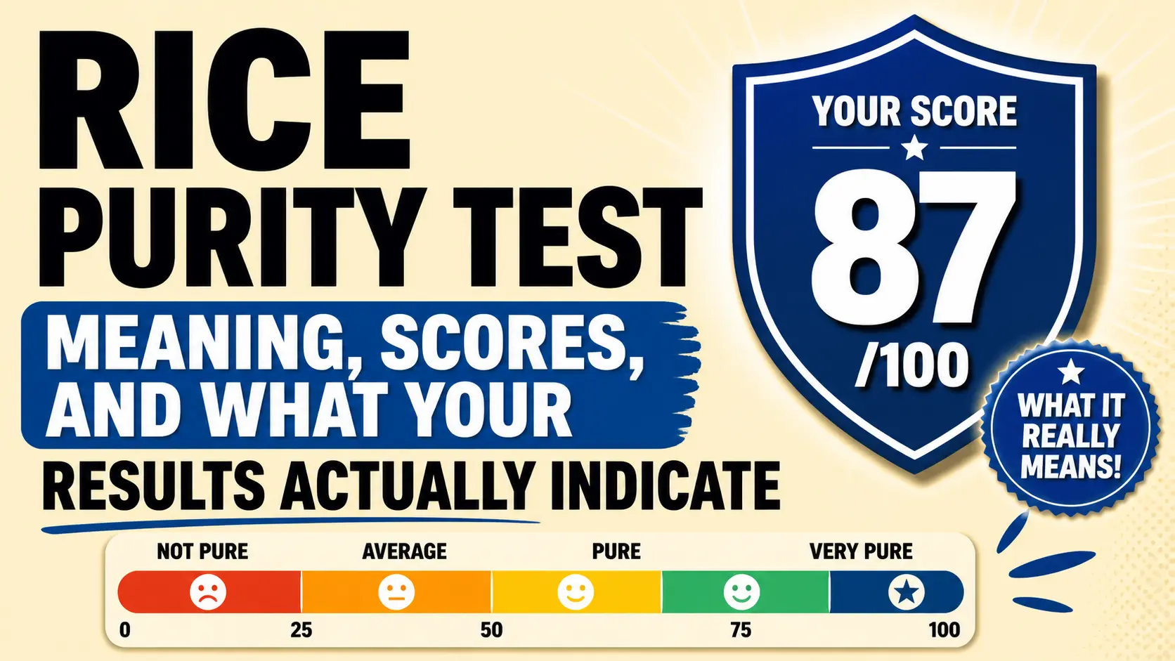 Rice Purity Test score chart showing meaning of high and low scores and what results indicate about life experiences.