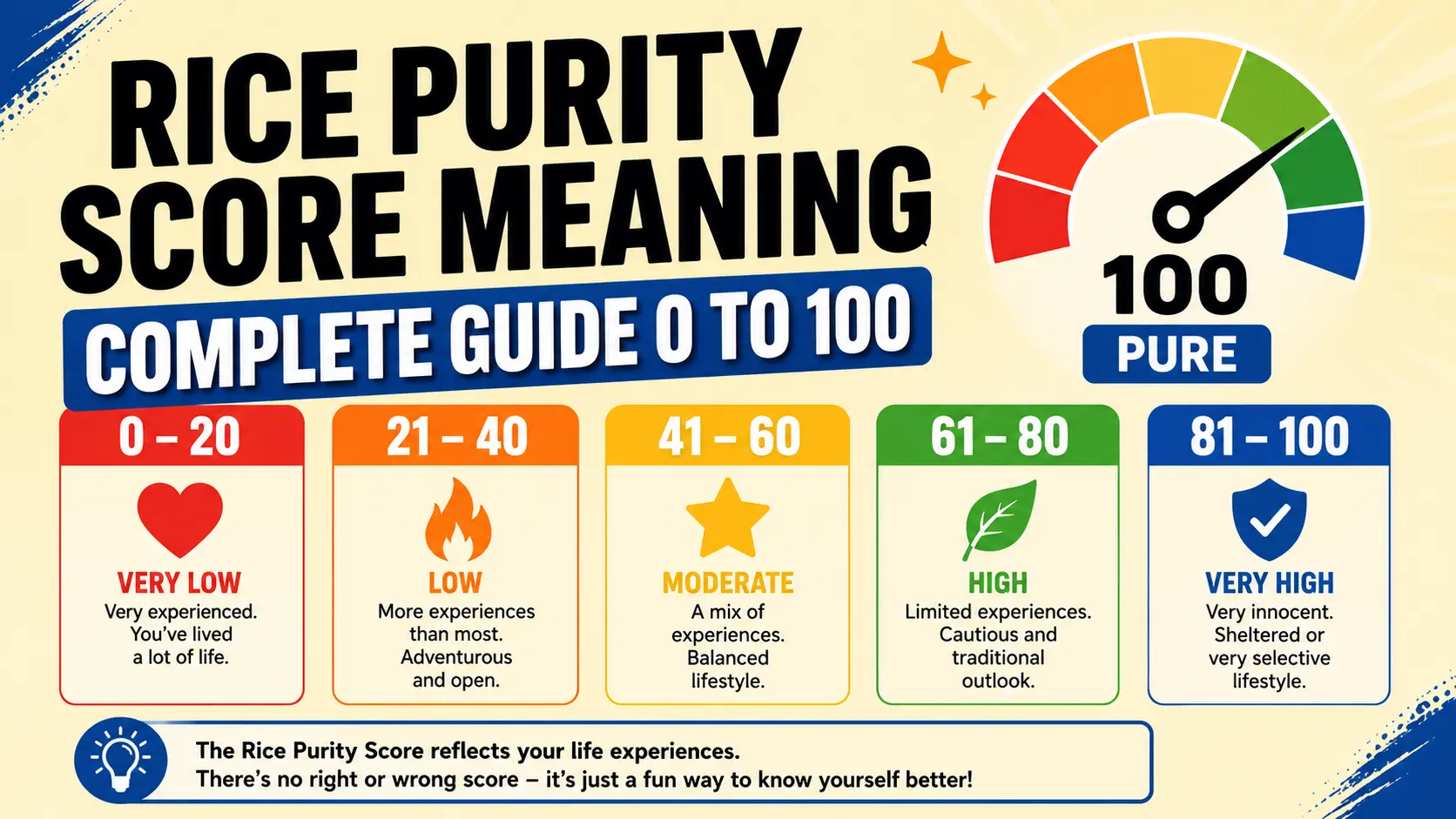 Infographic showing Rice Purity Score meaning with score ranges from 0 to 100 and what each range reflects about life experience